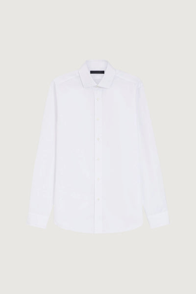 H-david