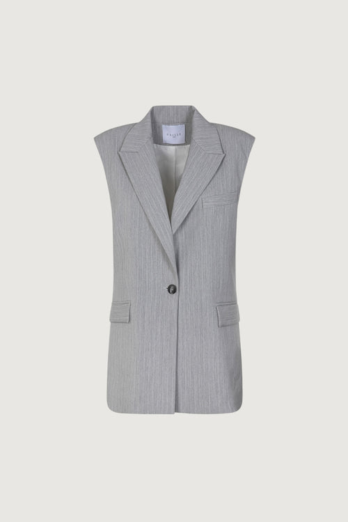 GAELLE-GAABW09810 GR00-GILET OVER GESSATO